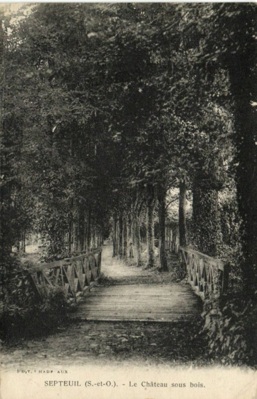 Carte postale ancienne Septeuil-Le Chateau sous bois à Septeuil