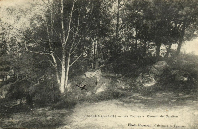 Carte postale ancienne Raizeux-Les Roches-Chemin de Carriere à Raizeux