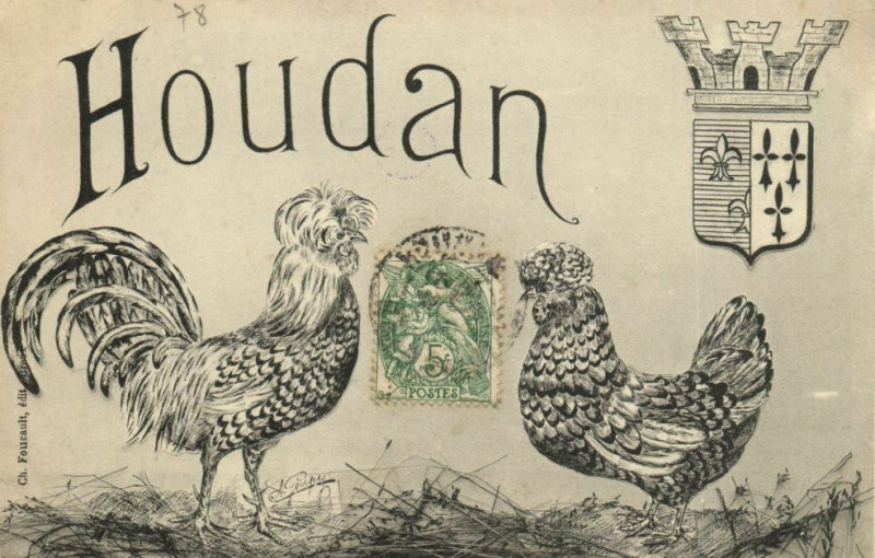 Carte postale ancienne Houdan à Houdan