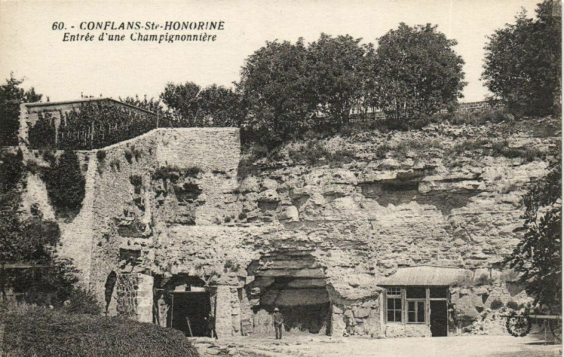 Carte postale ancienne Conflans-Sainte-Honorine-Entrée d'une Champignonniére à Conflans-Sainte-Honorine