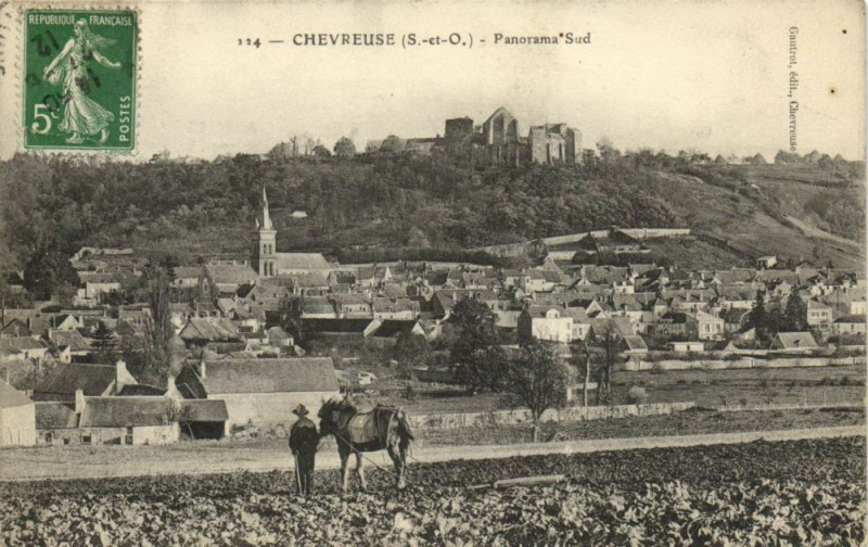 Carte postale ancienne Chevreuse-Panorama Sud à Chevreuse