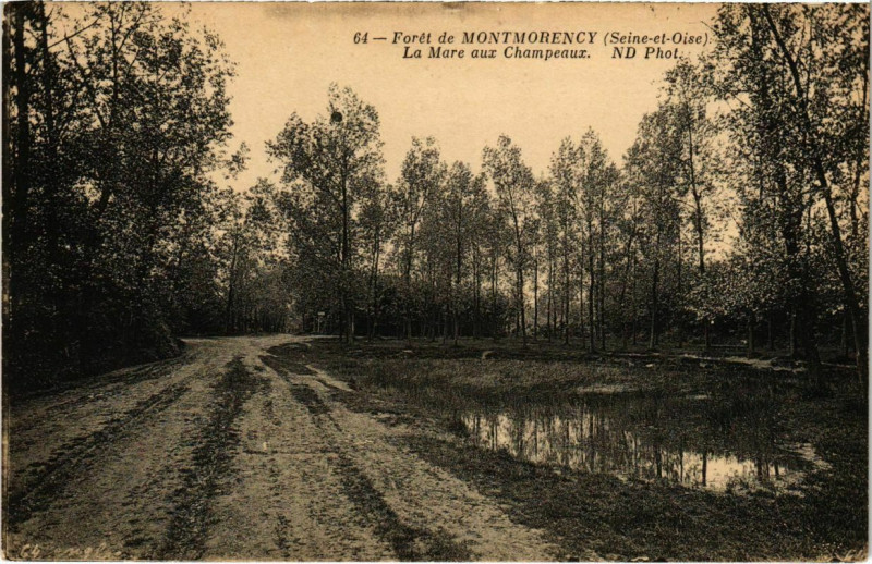 Carte postale ancienne Foret de Montmorency - La Mare aux Champeaux à Montmorency