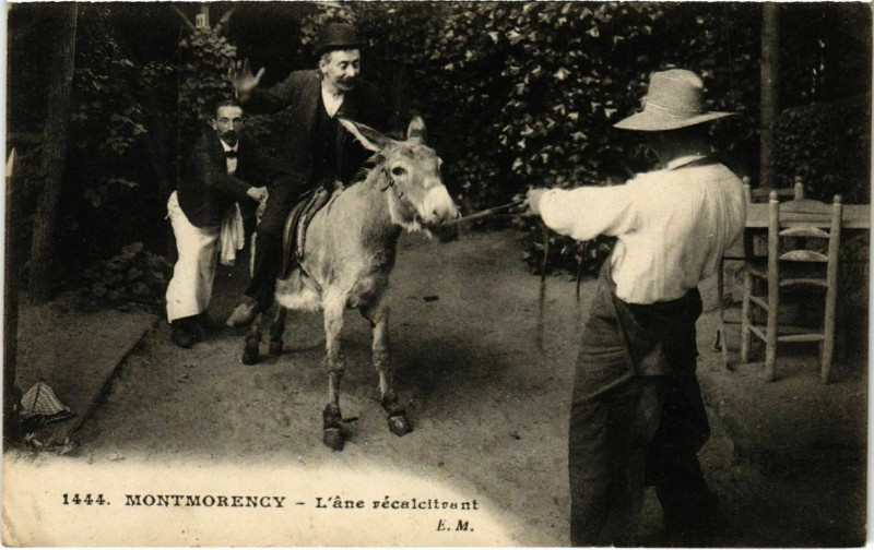 Carte postale ancienne Montmorency - L'ane realcitrunt à Montmorency