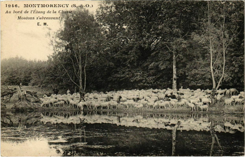 Carte postale ancienne Montmorency - Au bord de l'Etang de la Chasse à Montmorency