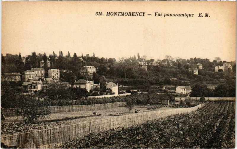 Carte postale ancienne Montmorency - Vue panoramique à Montmorency