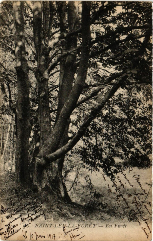 Carte postale ancienne Saint-Leu-la-Foret - En Forét à Saint-Leu-la-Forêt