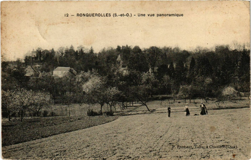 Carte postale ancienne Ronquerolles (S.-et-O.) - Une vue panoramique à Ronquerolles
