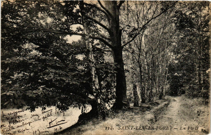 Carte postale ancienne Saint-Leu-La Foret - En Forét à Saint-Leu-la-Forêt