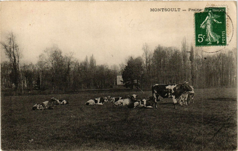 Carte postale ancienne Montsoult - Prairie à Montsoult