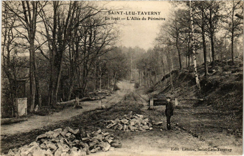 Carte postale ancienne Saint-Leu-Taverny - En Foret - L'Allée du Perimetre à Taverny
