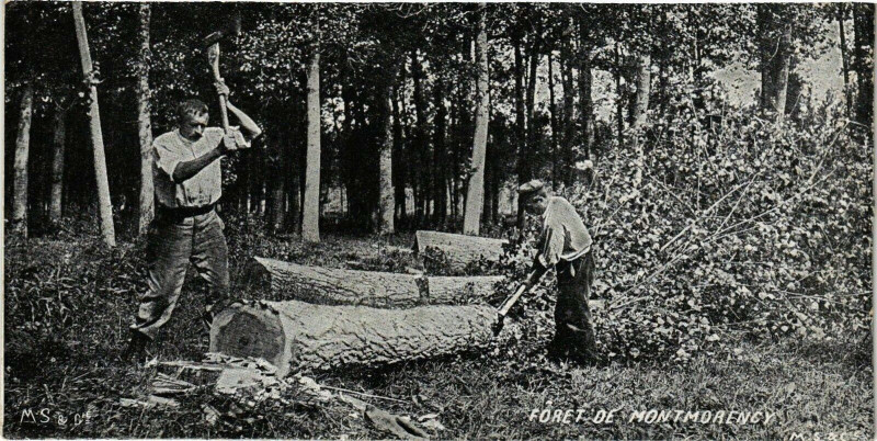 Carte postale ancienne Montmorency - Foret de Montmorency à Montmorency