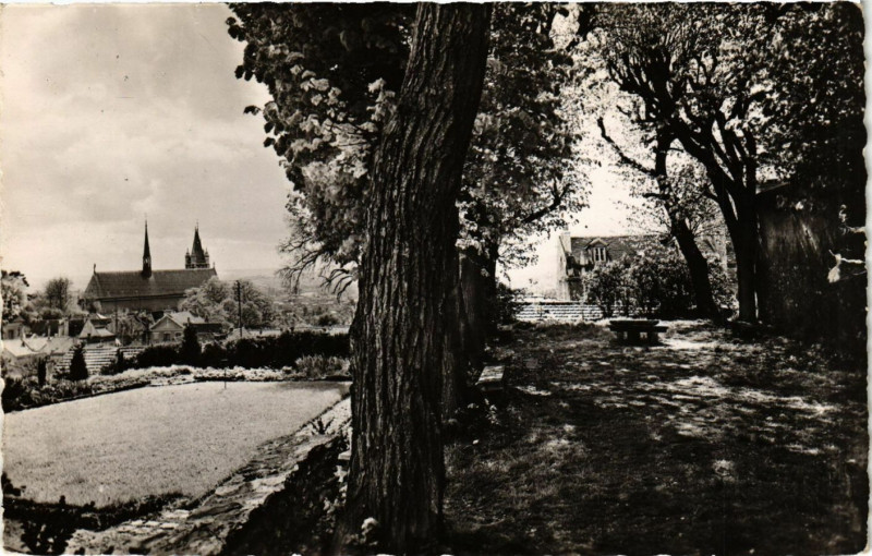 Carte postale ancienne Montmorency - Allée des Tilleuls à Montmorency