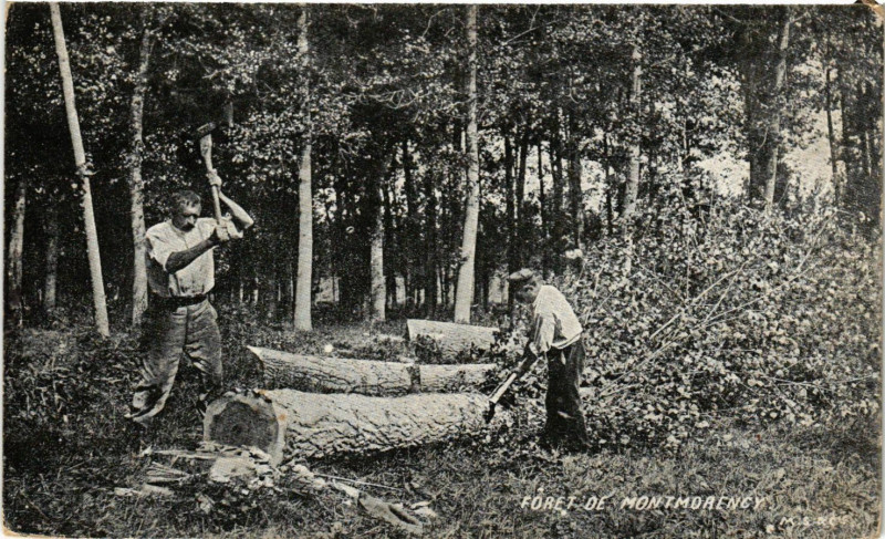 Carte postale ancienne Forét de Montmorency à Montmorency