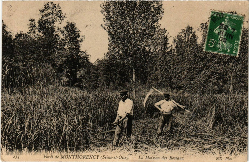 Carte postale ancienne Forét de Montmorency (Seine-et-Oise) - La Maison des Roseaux à Montmorency