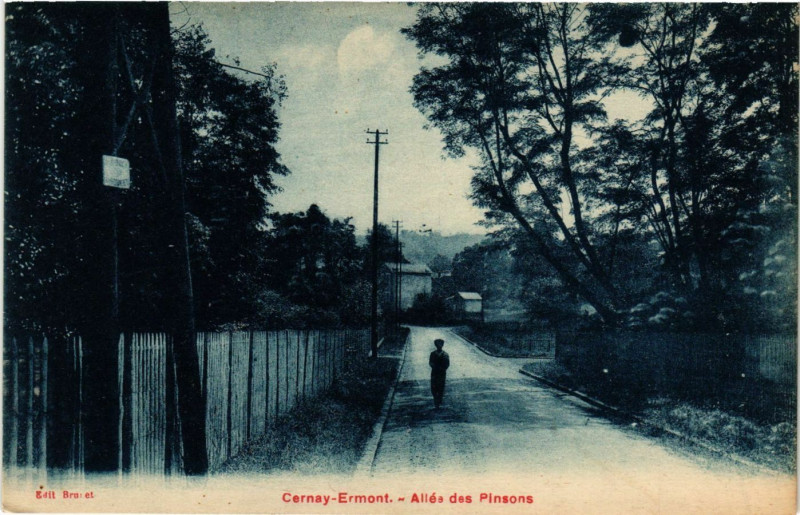 Carte postale ancienne Carnay-Ermont - Allée des Pinsosns à Ermont