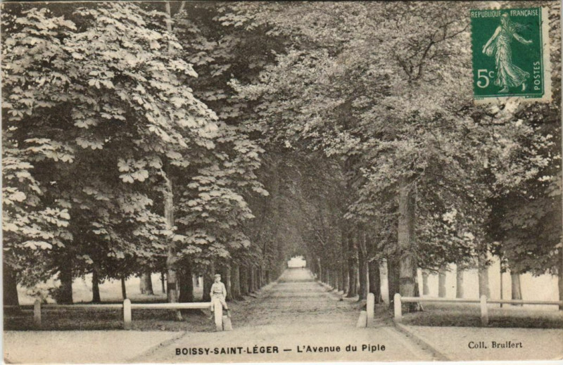 Carte postale ancienne Boissy - Saint-Leger - L'Avenue Du Piple