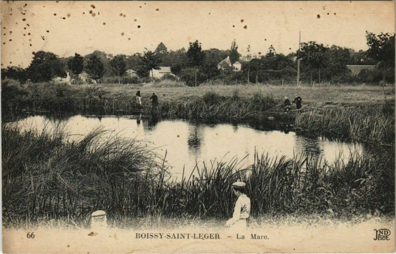 Carte postale ancienne Boissy - Saint-Leger - La mare