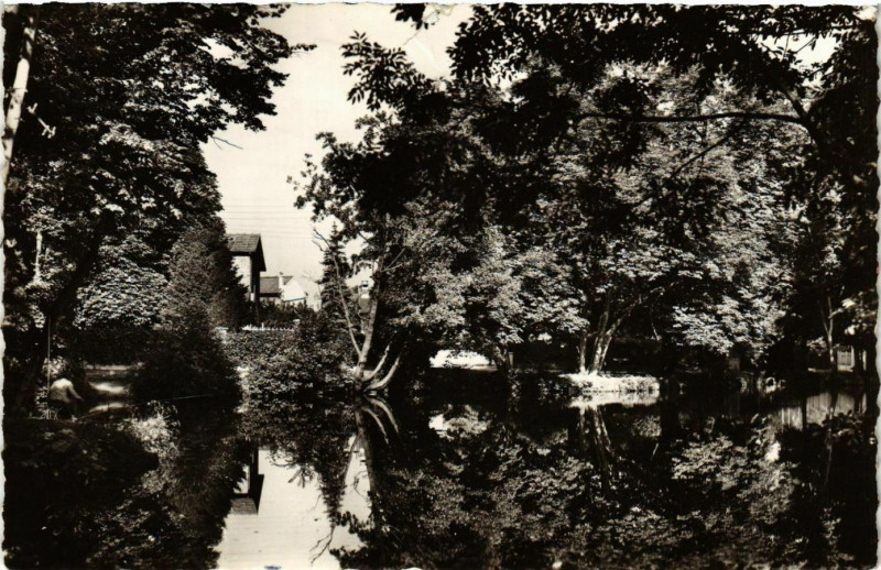 Carte postale ancienne Sucy-en-Brie Etang à Sucy-en-Brie