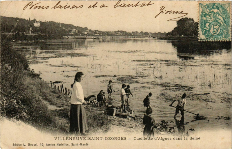 Carte postale ancienne Villeneuve-Saint-Georges Cueillete des Algues dans la Seine à Villeneuve-Saint-Georges