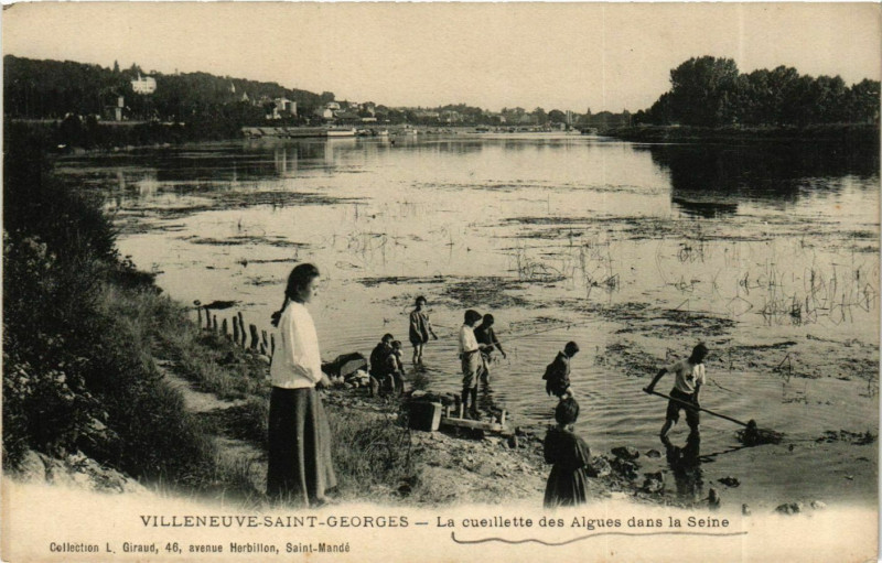 Carte postale ancienne Villeneuve-Saint-Georges Cueillete des Algues dans la Seine à Villeneuve-Saint-Georges