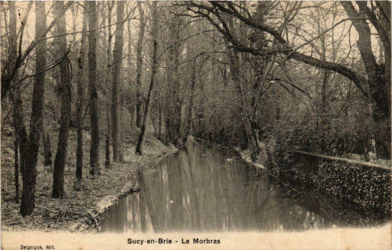 Carte postale ancienne Sucy-en-Brie Le Morbras à Sucy-en-Brie