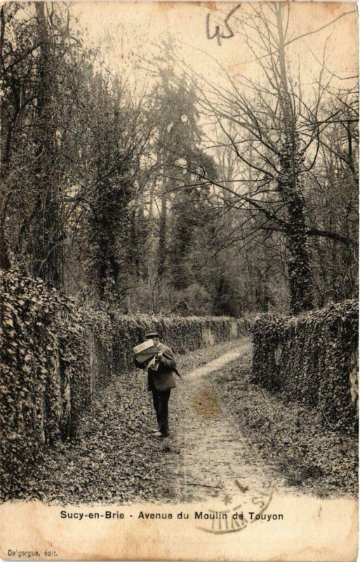 Carte postale ancienne Sucy-en-Brie Avenue du Moulin de Touyon à Sucy-en-Brie
