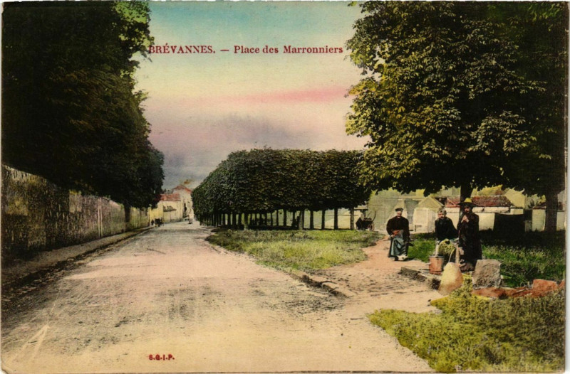 Carte postale ancienne Brevannes Place des Marronniers