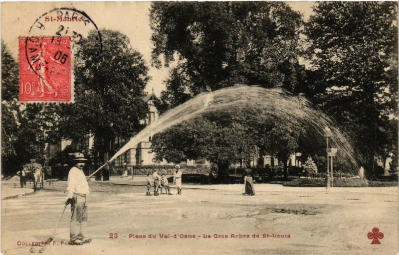 Carte postale ancienne Saint-Maurice Place du Val-d'Osne. Le Gros Arbre de St-Louis. à Saint-Maurice