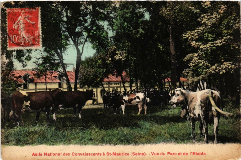 Carte postale ancienne Saint-Maurice Asile Nationale des Convalescents. Vue du Parc à Saint-Maurice