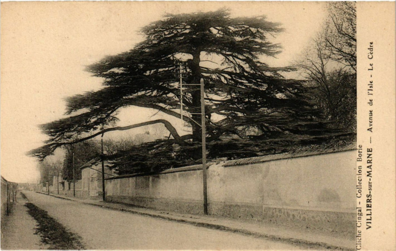 Carte postale ancienne Villiers sur Marne - Avenu de l'Isle à Villiers-sur-Marne