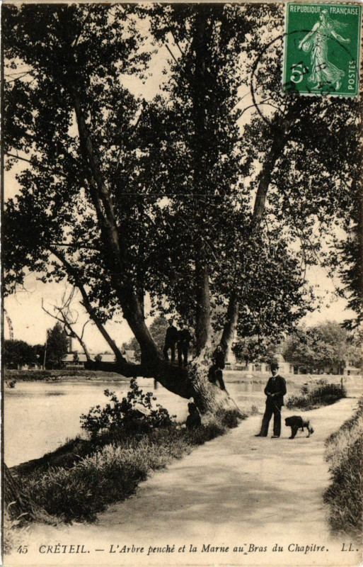 Carte postale ancienne Creteil - L'Arbre peuche à Créteil