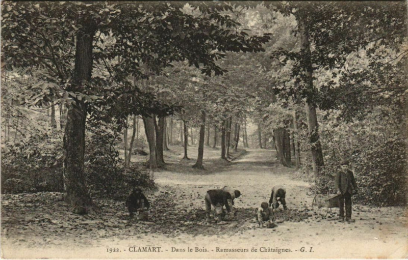 Carte postale ancienne Clamart Dans le Bois à Clamart