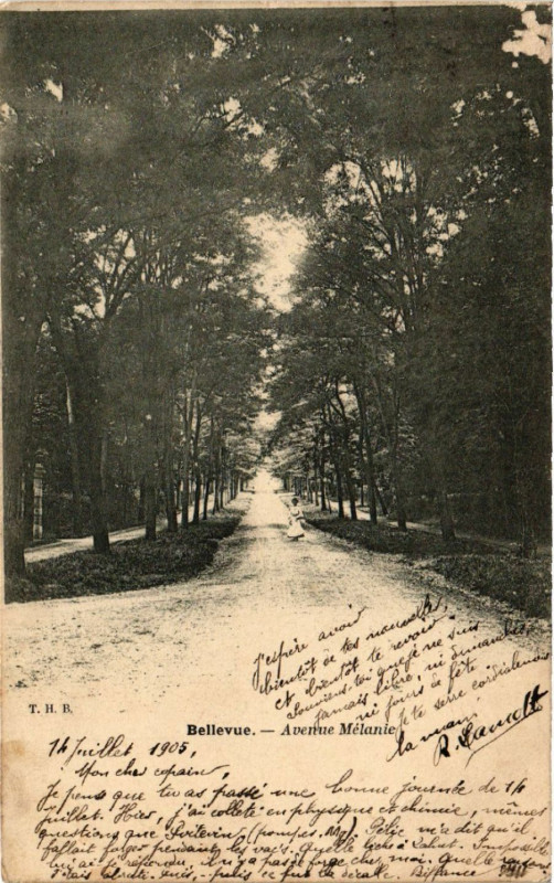 Carte postale ancienne Bellevue - Avenue Mélanie