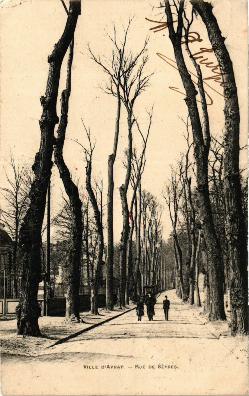 Carte postale ancienne Ville d'Avray Rue de Sévres à Sèvres