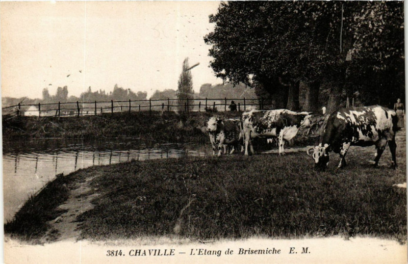 Carte postale ancienne Chaville L'Etang de Brisemiche à Chaville