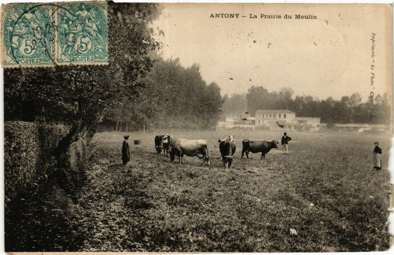 Carte postale ancienne Antony La Prairie du Moulin à Antony
