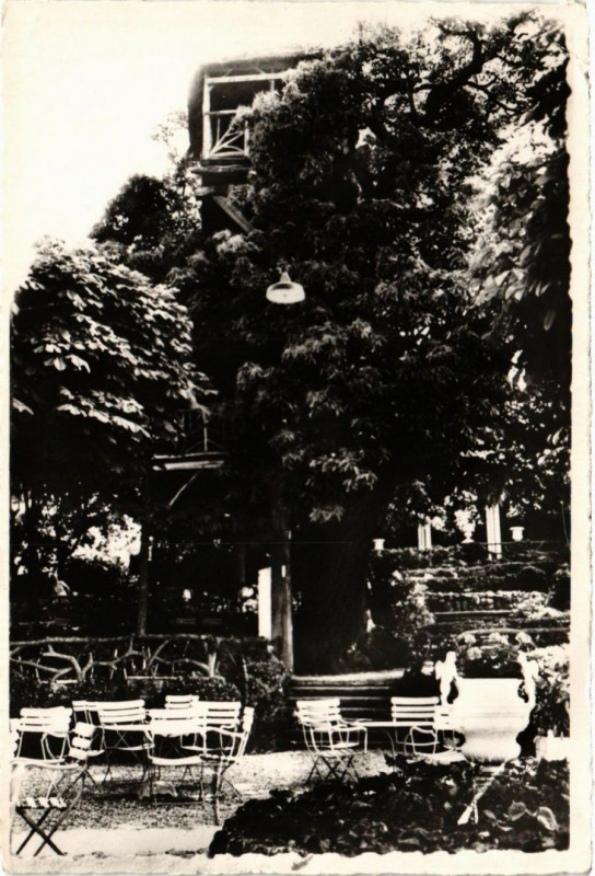 Carte postale ancienne Robinson - Le Gros Arbre