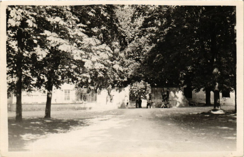 Carte postale ancienne La Carolue