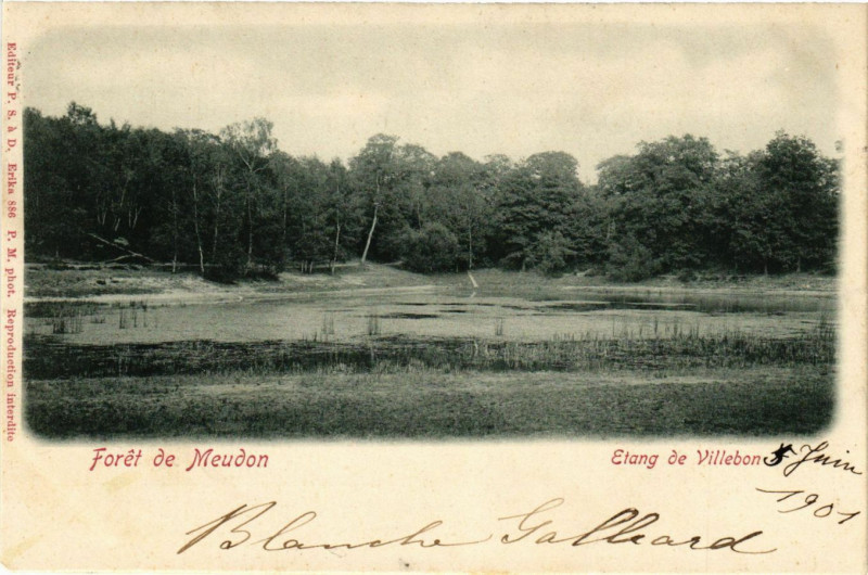 Carte postale ancienne Foret de Meudon à Meudon