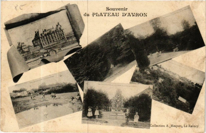 Carte postale ancienne Souvenir du Plateau D'Avron