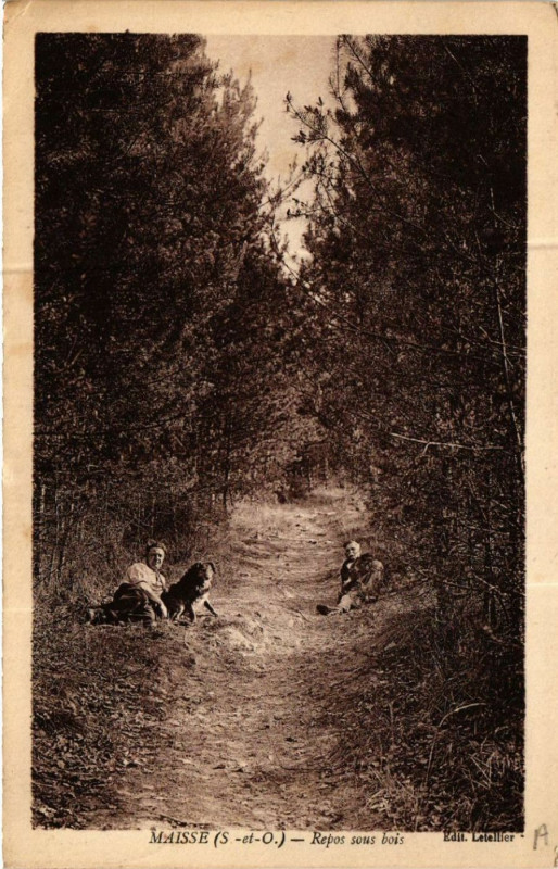 Carte postale ancienne Maisse - Repos sous bois à Maisse