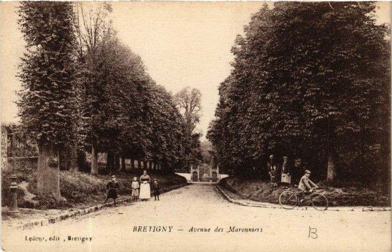 Carte postale ancienne Bretigny - Brétigny - Avenue des Maronniers à Igny