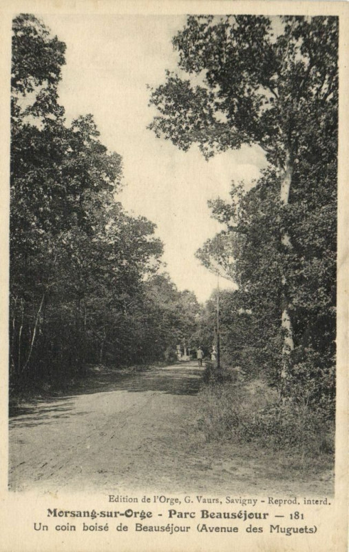 Carte postale ancienne Morsang-sur-Orge  Parc Beauséjour Un coin de Beausékour (Avenue.... à Morsang-sur-Orge
