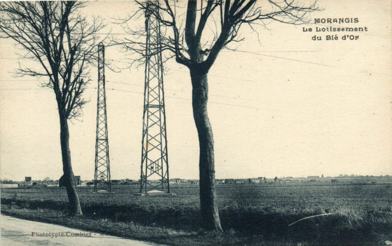 Carte postale ancienne Morangis   Lie Liotissement du Blé d'Or à Morangis