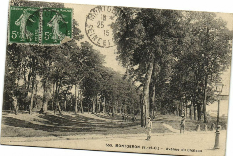 Carte postale ancienne Montgeron (S.-et-O.) Avenue du Cháteau à Montgeron