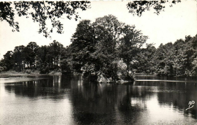 Carte postale ancienne Bligny-L'lle à Igny