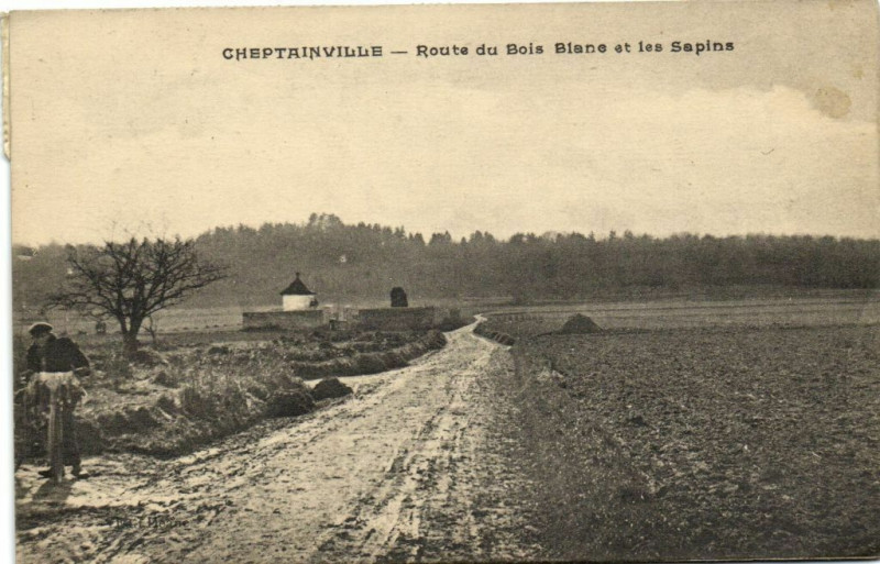 Carte postale ancienne Cheptainville-Route de Bois Blane et les Sapins à Cheptainville
