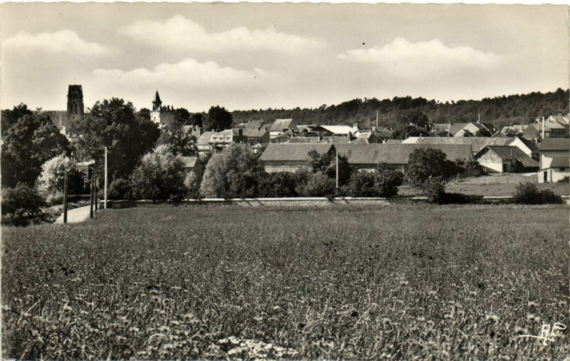 Carte postale ancienne Briis sous Forges-Vue d'ensemble à Briis-sous-Forges