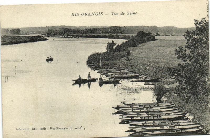 Carte postale ancienne Ris Orangis-Vue de Seine à Ris-Orangis