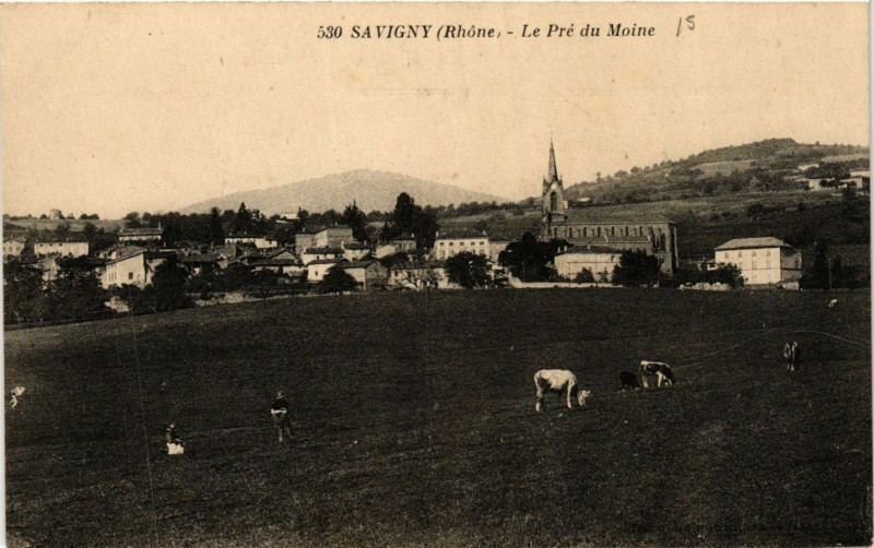 Carte postale ancienne Savigny - Le Pré du Moine à Savigny